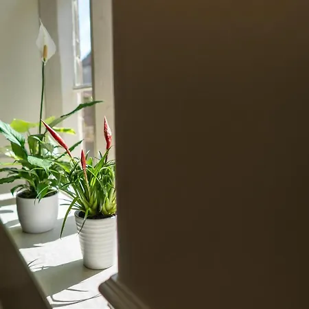 Ruswarp Hall - (adults Only) Gæstehus 3*