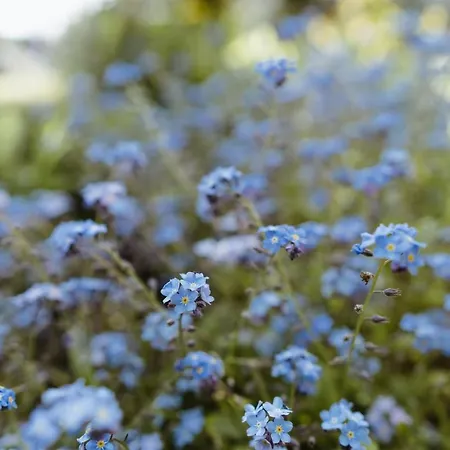 Ruswarp Hall - (adults Only) Whitby