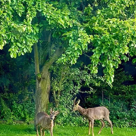 Ruswarp Hall - (adults Only) Whitby