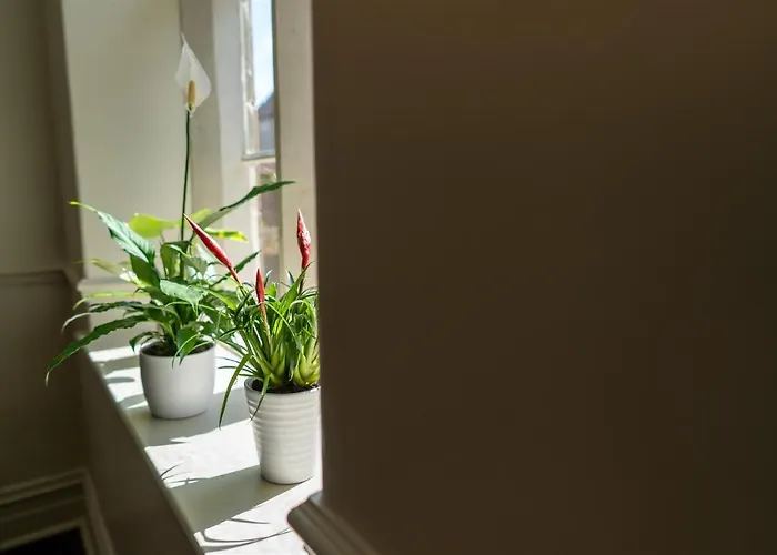 Ruswarp Hall - (adults Only) Guest house 4*