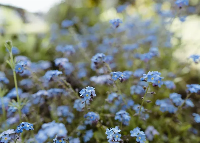 Ruswarp Hall - (adults Only) Whitby