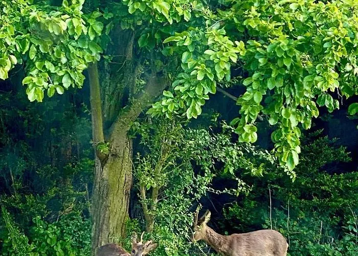 Ruswarp Hall - (adults Only) Whitby